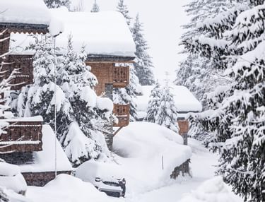 Morgen weer veel sneeuw in het westen?