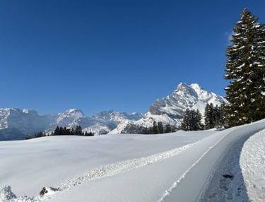Stabiel hogedrukweer met veel zon op komst