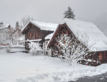 Hoeveel sneeuw gaat er vallen?