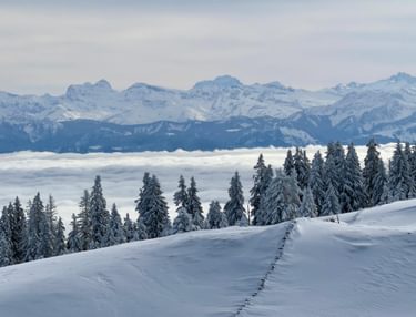 Droge start van februari