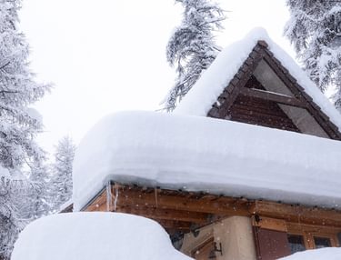 Sneeuwzone treft het westen