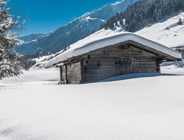 Waar valt dinsdag de meeste sneeuw?