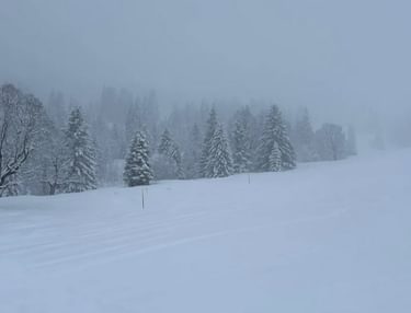 Later droog met meer zon?