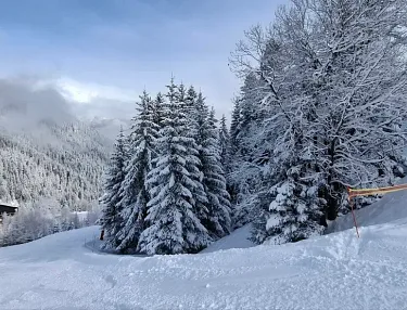 Drogere periode met veel zon?