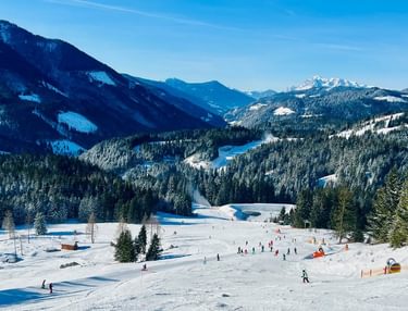 Later vanuit een westen een sneeuwdoorbraak?