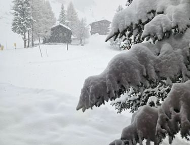 Bekijk alle TUI deals...