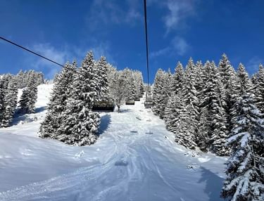 Bekijk de TUI last minutes