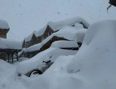 Bekijk alle TUI deals...